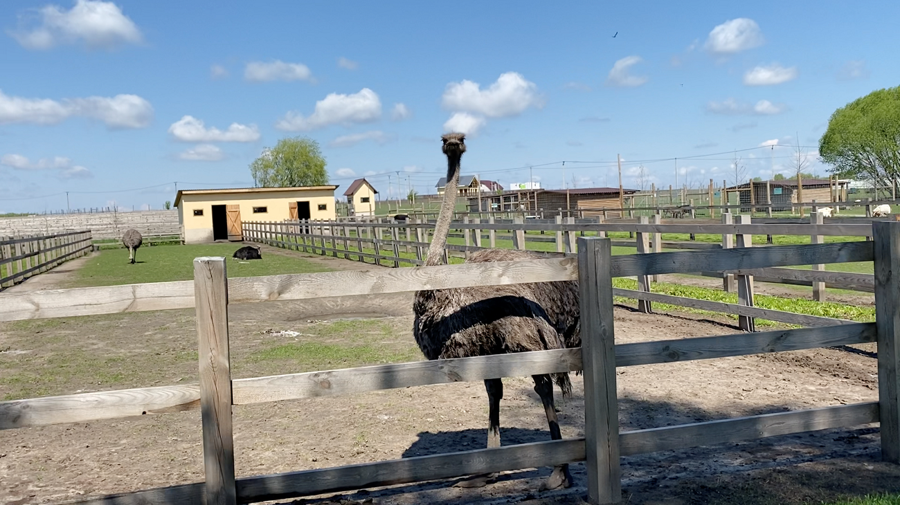 Сбежать за город: малоизвестные локации для насыщенного уикенда под Киевом